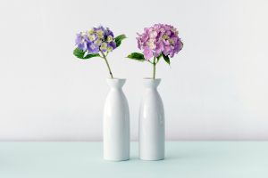 Vases en céramique